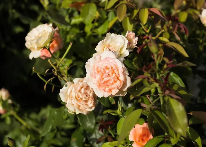 Appartamento Makris House- Panorama Agia Efimia